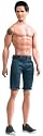 Barbie Twilight New Moon Jacob Doll